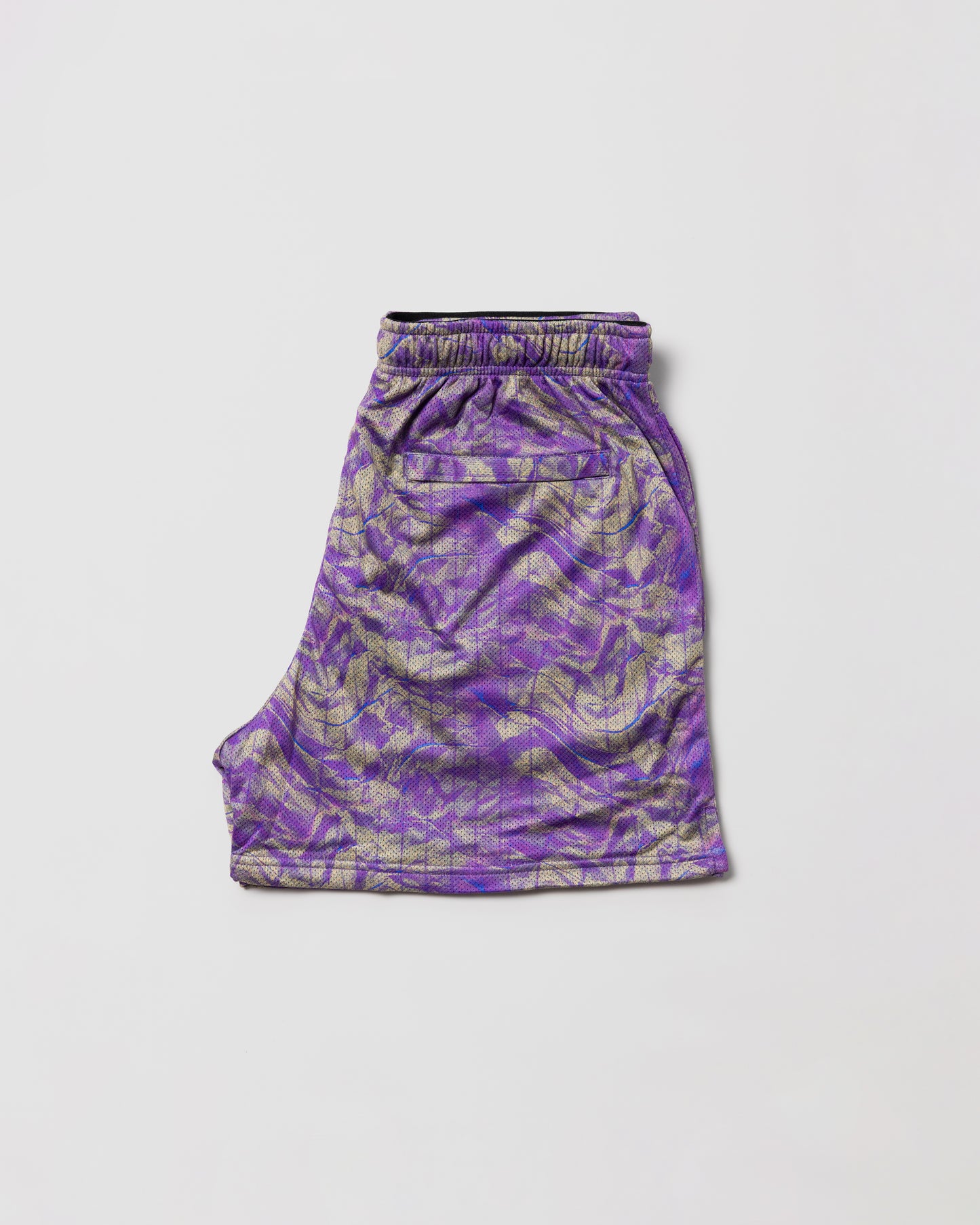 ALL DAY MESH SHORTS purple
